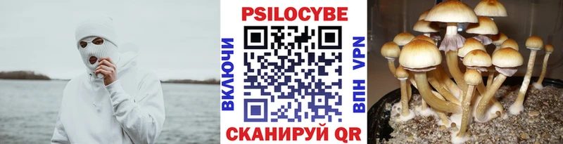Галлюциногенные грибы MAGIC MUSHROOMS Амурск